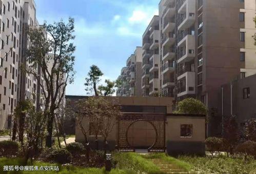 小鲁班最新爆料视频网页,揭秘视频网页背后的精彩内容  第2张